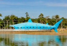 Tubarão gigante enfeita cidade a quase 300 km do mar em São Paulo