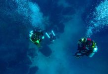 ICMBio estabelece diretrizes gerais para mergulho em unidades de conservação